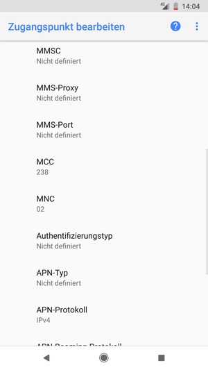 Scrollen Sie nach unten und geben Sie Internetinformationen ein