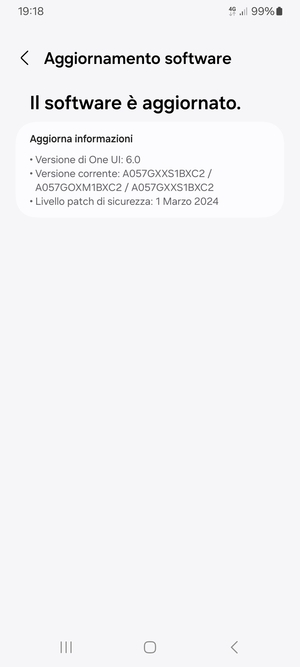 Se il tuo telefono è aggiornato, vedrai la seguente schermata