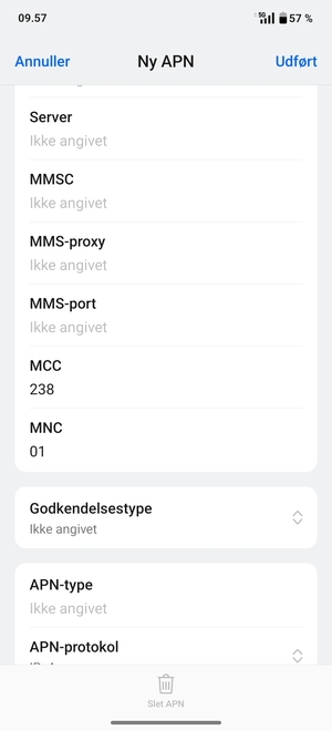 Scroll ned og indtast internet-oplysninger