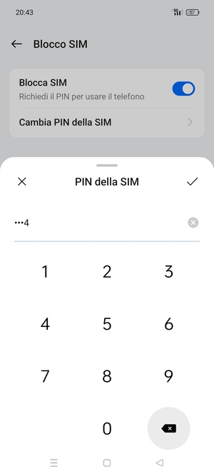 Inserisci Nuovo PIN della scheda SIM e seleziona OK
