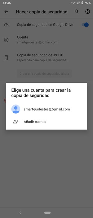 Seleccione su cuenta de copia de seguridad