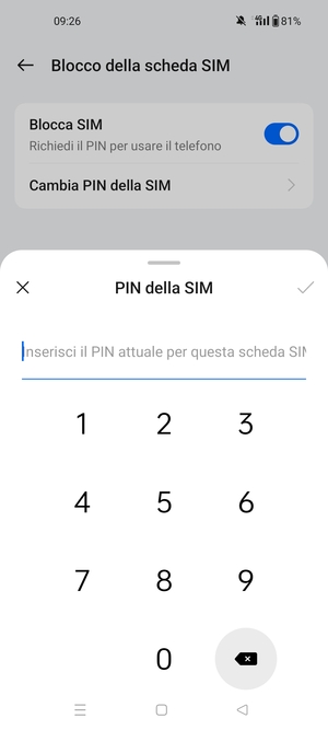 Inserisci PIN della SIM attuale e seleziona OK