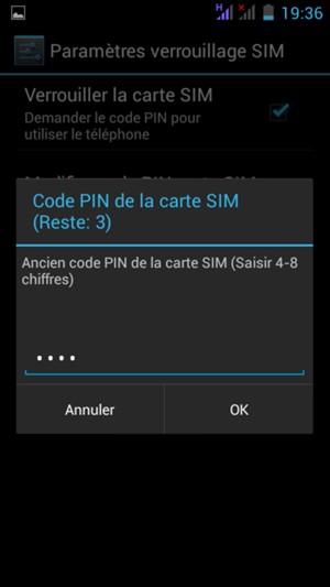 Saisissez votre Ancien code PIN de la carte SIM et sélectionnez OK