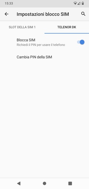 Seleziona Public e Cambia PIN della SIM