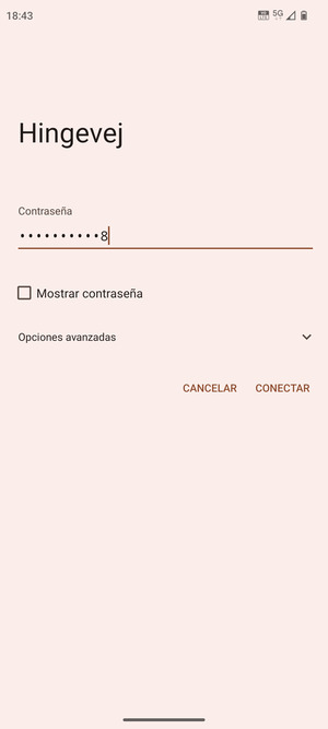 Introduzca la contraseña de Wi-Fi y seleccione CONECTAR