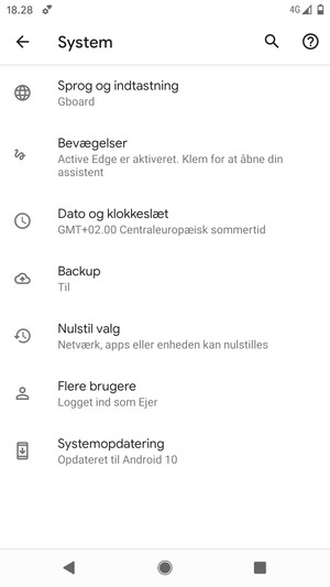 Vælg Systemopdatering