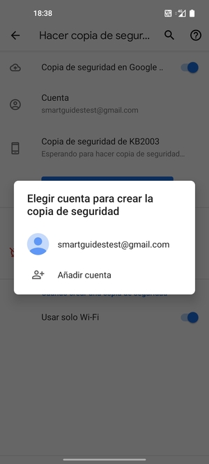 Seleccione su cuenta de copia de seguridad