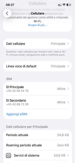La tua eSIM è ora attivata