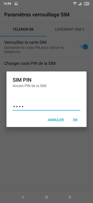 Saisissez votre Ancien PIN de la SIM et sélectionnez OK