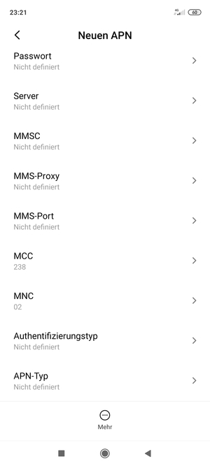 Scrollen Sie nach unten und geben Sie Internetinformationen ein