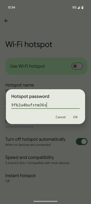 Enter a Wi-Fi hotspot password of at least 8 characters and select OK