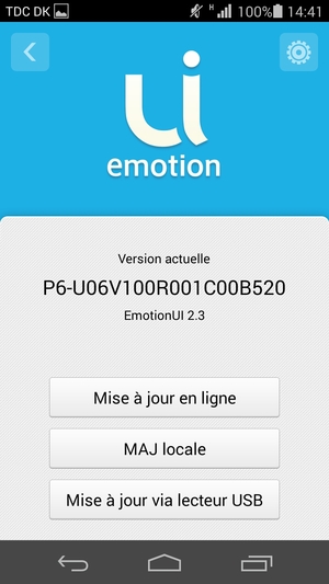 Sélectionnez Mise à jour en ligne