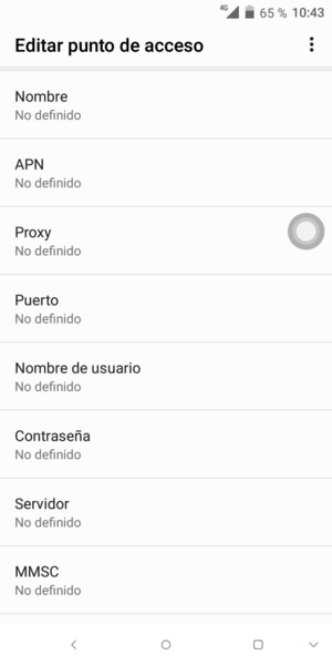 Introduzca la información de Internet