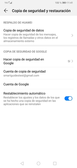 Seleccione Cuenta de copia de seguridad