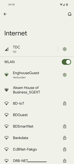 Sie sind nun mit dem WLAN-Netzwerk verbunden