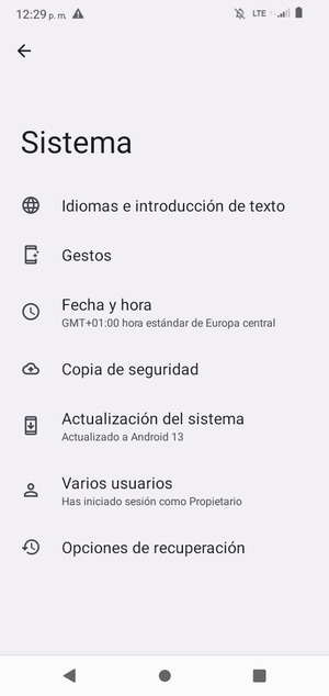 Seleccione Actualización del sistema