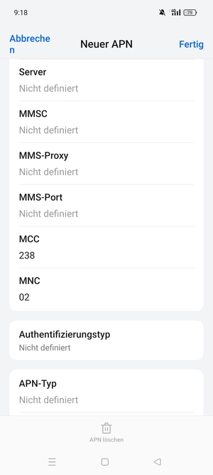 Scrollen Sie nach unten und geben Sie Internetinformationen ein