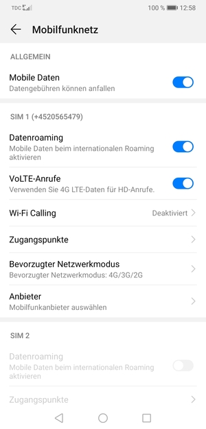 Schalten Sie Datenroaming an oder aus