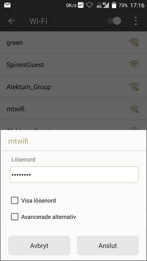 Ange lösenord till Wi-Fi och välj Anslut