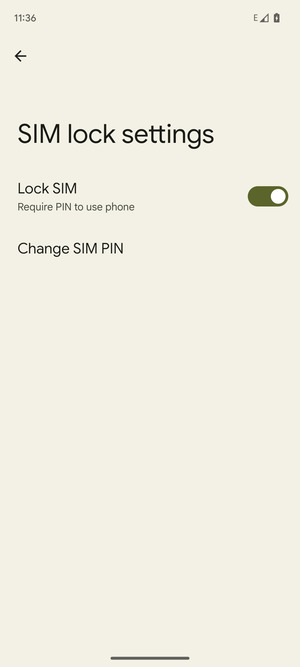 Select Change SIM PIN