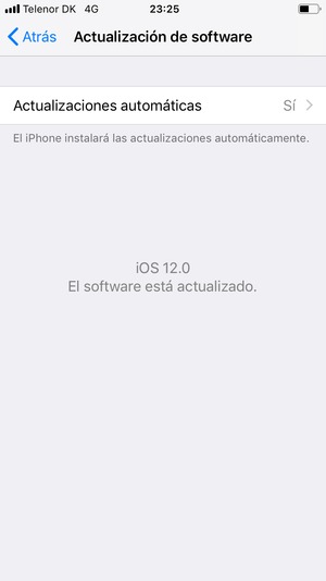 Si su iPhone está actualizado, verá la siguiente pantalla.
