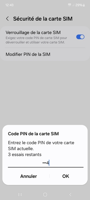 Saisissez votre Code PIN de la carte SIM actuelle et sélectionnez OK