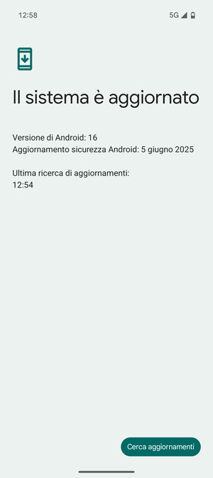Se il tuo telefono è aggiornato, vedrai la seguente schermata