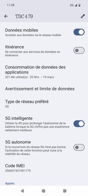 Faites défiler et sélectionnez Type de réseau préféré