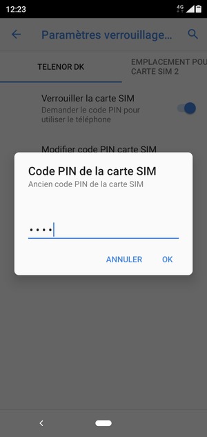 Saisissez votre Ancien code PIN de la carte SIM et sélectionnez OK