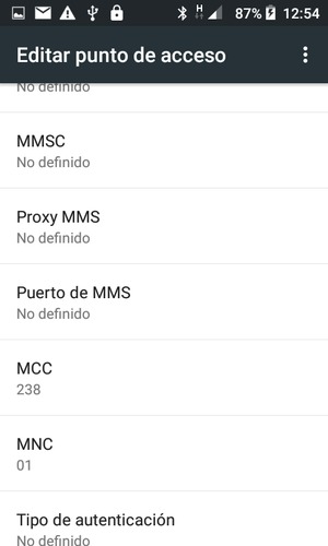 Desplácese hacia abajo e introduzca la información MMS