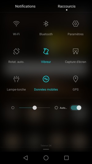 Sélectionnez Vibreur pour passer en mode silencieux