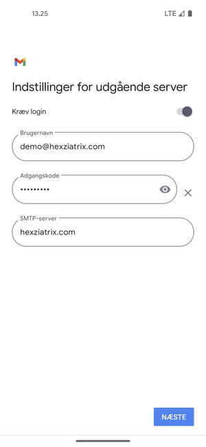 Indtast udgående serveradresse og vælg NÆSTE