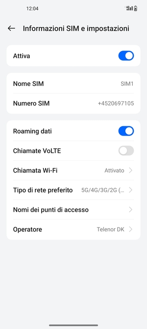 Attiva o disattiva Roaming dati