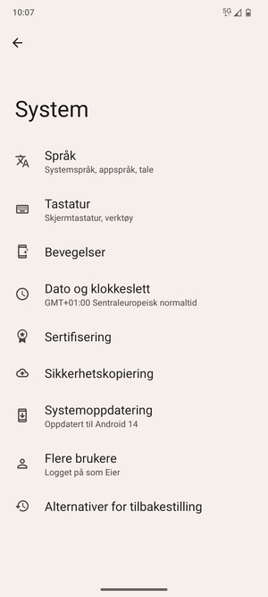 Velg Systemoppdatering