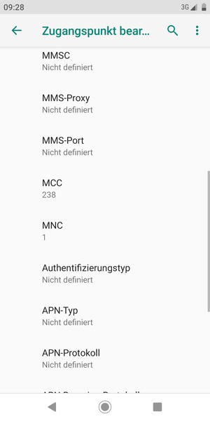 Scrollen Sie nach unten und geben Sie Internetinformationen ein