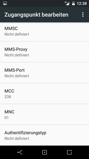 Scrollen Sie nach unten und geben Sie MMS-Informationen ein