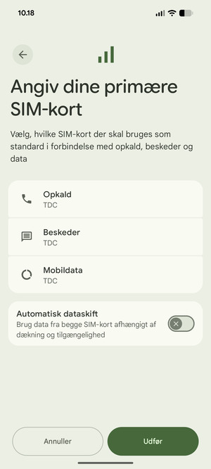 Vælg dine foretrukne muligheder og vælg Udfør