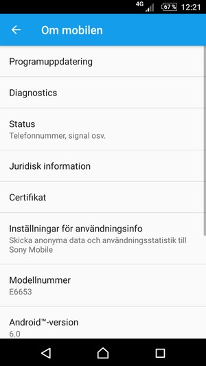 Välj Programuppdatering