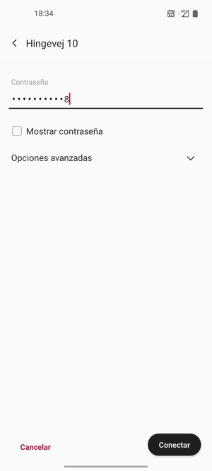 Introduzca la contraseña de Wi-Fi y seleccione Conectar
