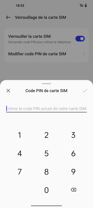 Saisissez votre Ancien code PIN de la carte SIM et sélectionnez OK