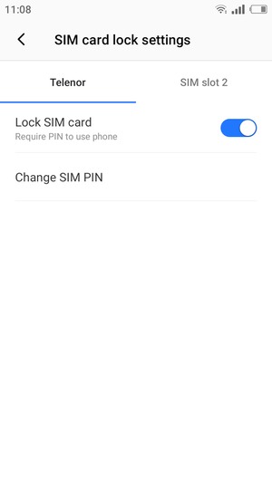 Select Public and  Change SIM PIN