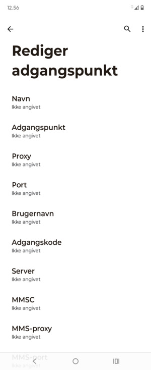 Indtast internet-oplysninger