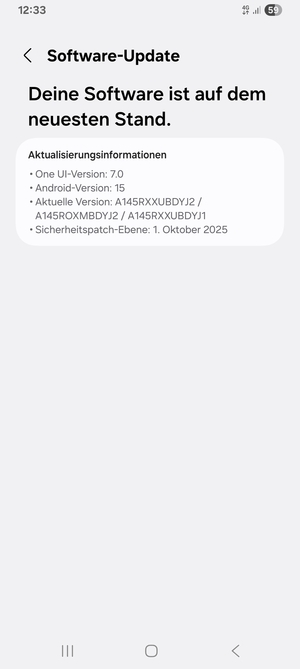 Falls Ihr Handy aktualisiert ist, wird Ihnen der folgende Bildschirm angezeigt