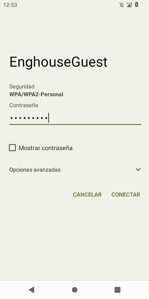 Introduzca la Contraseña de Wi-Fi y seleccione CONECTAR