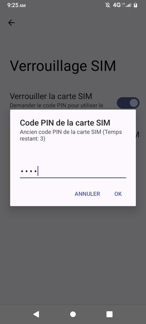 Saisissez votre Ancien code PIN de la carte SIM et sélectionnez OK