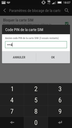 Saisissez votre Ancien code PIN de la carte SIM et sélectionnez OK