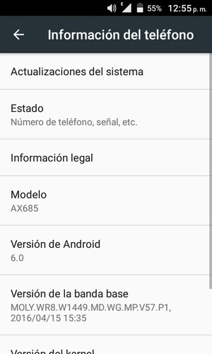 Seleccione Actualizaciones del sistema