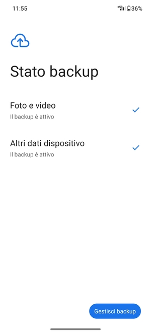 Seleziona Gestisci backup