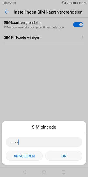 Voer uw Oude SIM pincode in en selecteer OK