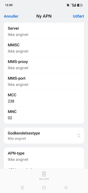 Scroll ned og indtast internet-oplysninger